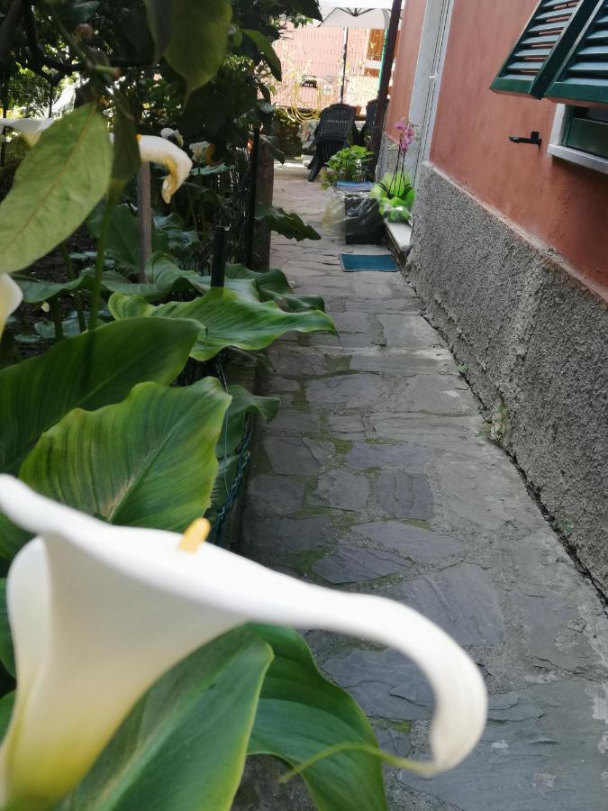 A Ca Du Barba Apartment Monterosso al Mare Exterior photo
